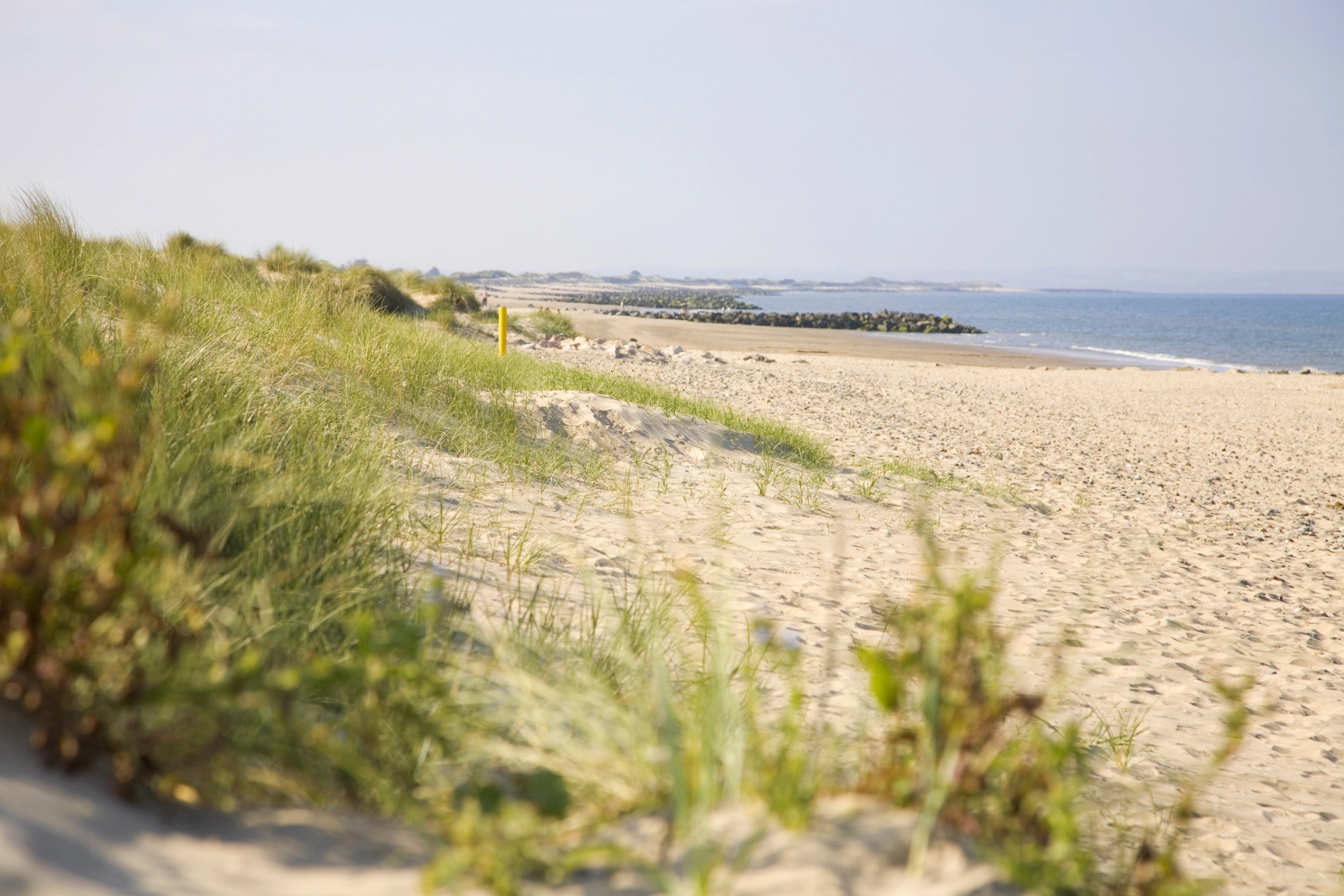 Rosslare[1].webp
